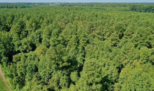 Photo #30 of SOLD property in Off Vandiford Thomas Road, Snow Hill, NC 60.8 acres