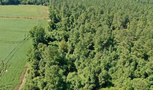 Photo #31 of SOLD property in Off Vandiford Thomas Road, Snow Hill, NC 60.8 acres