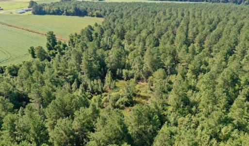 Photo #32 of SOLD property in Off Vandiford Thomas Road, Snow Hill, NC 60.8 acres