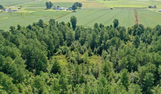 Photo #33 of SOLD property in Off Vandiford Thomas Road, Snow Hill, NC 60.8 acres