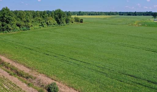 Photo #37 of SOLD property in Off Vandiford Thomas Road, Snow Hill, NC 60.8 acres