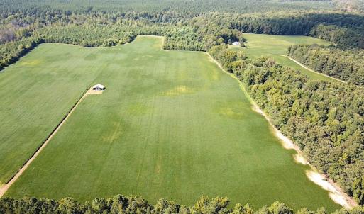Photo #2 of SOLD property in Off White Oak Drive, Spring Grove, VA 85.0 acres