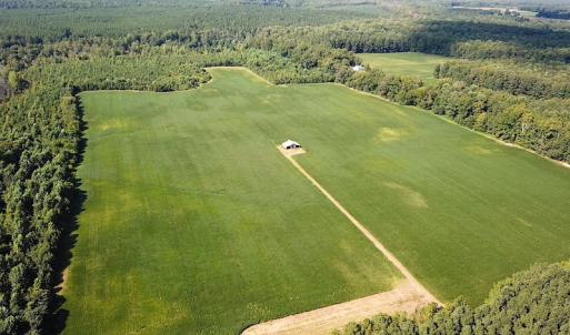 Photo #3 of SOLD property in Off White Oak Drive, Spring Grove, VA 85.0 acres