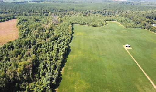 Photo #4 of SOLD property in Off White Oak Drive, Spring Grove, VA 85.0 acres