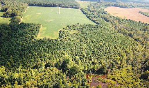 Photo #6 of SOLD property in Off White Oak Drive, Spring Grove, VA 85.0 acres
