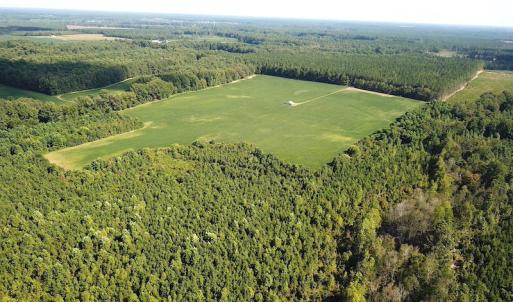Photo #7 of SOLD property in Off White Oak Drive, Spring Grove, VA 85.0 acres