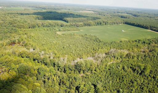 Photo #8 of SOLD property in Off White Oak Drive, Spring Grove, VA 85.0 acres
