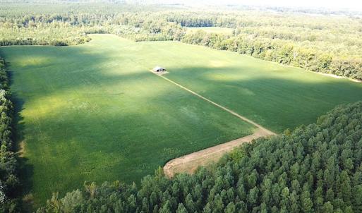 Photo #9 of SOLD property in Off White Oak Drive, Spring Grove, VA 85.0 acres