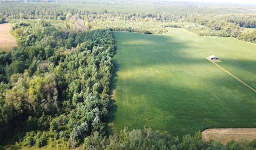 Photo #10 of SOLD property in Off White Oak Drive, Spring Grove, VA 85.0 acres
