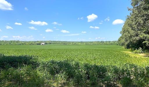 Photo #11 of SOLD property in Off White Oak Drive, Spring Grove, VA 85.0 acres