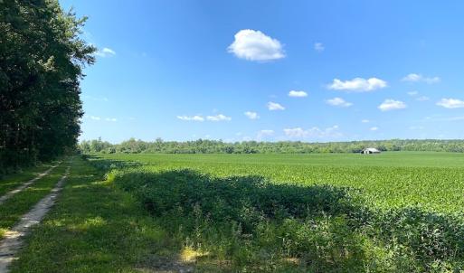 Photo #12 of SOLD property in Off White Oak Drive, Spring Grove, VA 85.0 acres