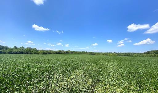 Photo #14 of SOLD property in Off White Oak Drive, Spring Grove, VA 85.0 acres