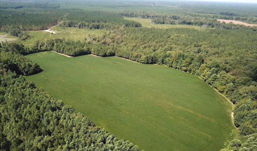 Photo #2 of SOLD property in Off Laurel Springs Road, Spring Grove, VA 27.0 acres