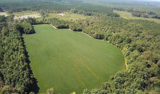 Photo #3 of SOLD property in Off Laurel Springs Road, Spring Grove, VA 27.0 acres