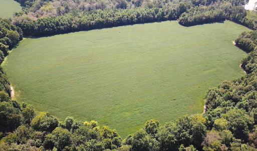 Photo #4 of SOLD property in Off Laurel Springs Road, Spring Grove, VA 27.0 acres