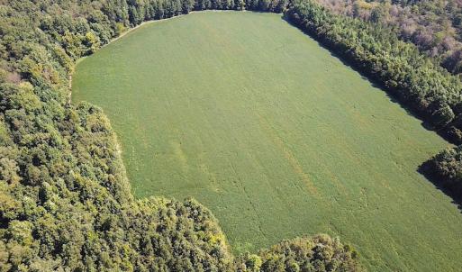 Photo #5 of SOLD property in Off Laurel Springs Road, Spring Grove, VA 27.0 acres