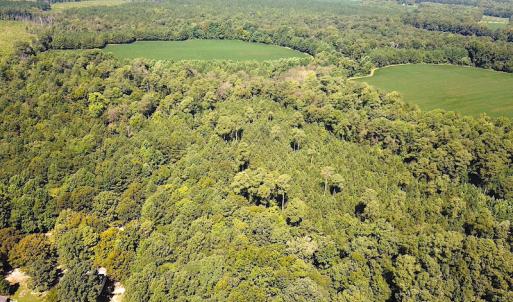 Photo #8 of SOLD property in Off Laurel Springs Road, Spring Grove, VA 27.0 acres