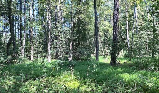 Photo #9 of SOLD property in Off Laurel Springs Road, Spring Grove, VA 27.0 acres