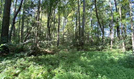 Photo #12 of SOLD property in Off Laurel Springs Road, Spring Grove, VA 27.0 acres