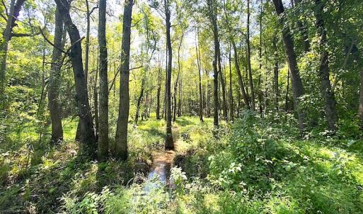 Photo #18 of SOLD property in Off Laurel Springs Road, Spring Grove, VA 27.0 acres