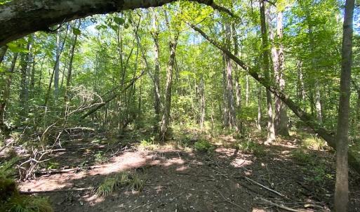 Photo #20 of SOLD property in Off Laurel Springs Road, Spring Grove, VA 27.0 acres