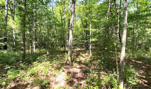 Photo #22 of SOLD property in Off Laurel Springs Road, Spring Grove, VA 27.0 acres