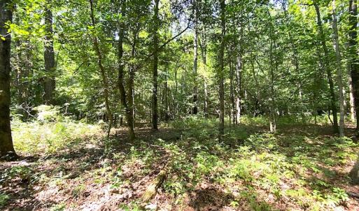 Photo #23 of SOLD property in Off Laurel Springs Road, Spring Grove, VA 27.0 acres