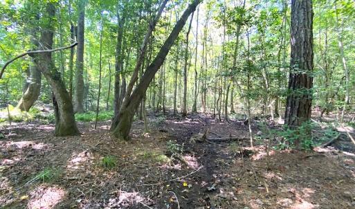 Photo #24 of SOLD property in Off Laurel Springs Road, Spring Grove, VA 27.0 acres