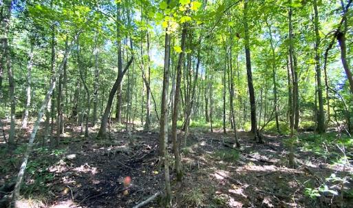 Photo #26 of SOLD property in Off Laurel Springs Road, Spring Grove, VA 27.0 acres