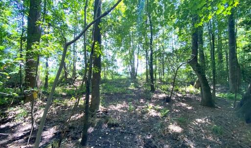 Photo #27 of SOLD property in Off Laurel Springs Road, Spring Grove, VA 27.0 acres