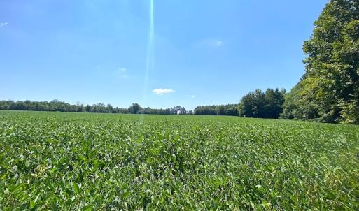 Photo #33 of SOLD property in Off Laurel Springs Road, Spring Grove, VA 27.0 acres