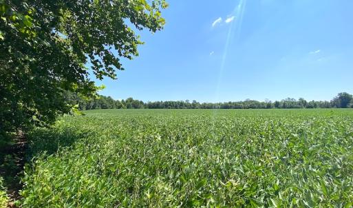 Photo #32 of SOLD property in Off Laurel Springs Road, Spring Grove, VA 27.0 acres