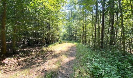 Photo #28 of SOLD property in Off Laurel Springs Road, Spring Grove, VA 27.0 acres