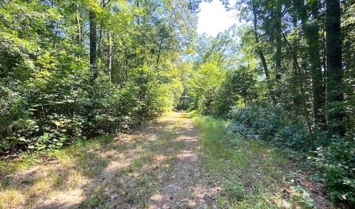 Photo #29 of SOLD property in Off Laurel Springs Road, Spring Grove, VA 27.0 acres