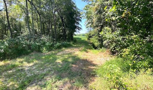 Photo #30 of SOLD property in Off Laurel Springs Road, Spring Grove, VA 27.0 acres