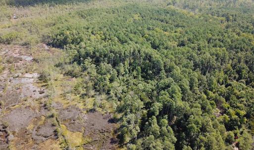 Photo #2 of SOLD property in Off Cattail Road, Mears, VA 112.0 acres