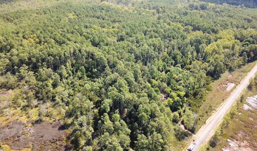 Photo #3 of SOLD property in Off Cattail Road, Mears, VA 112.0 acres