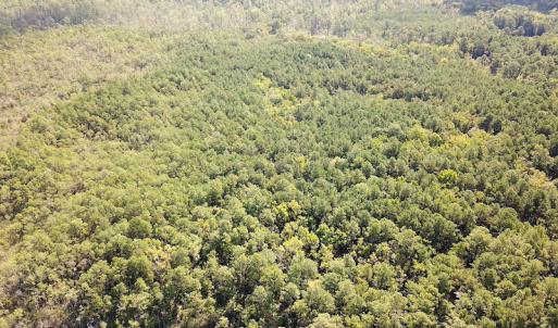 Photo #4 of SOLD property in Off Cattail Road, Mears, VA 112.0 acres