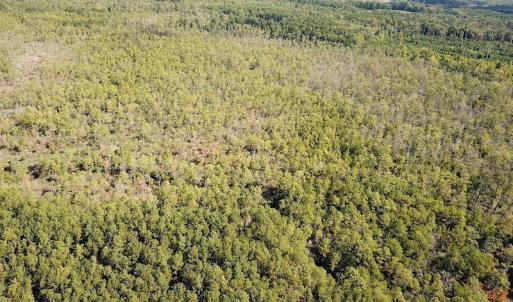 Photo #5 of SOLD property in Off Cattail Road, Mears, VA 112.0 acres