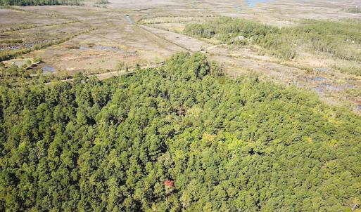 Photo #6 of SOLD property in Off Cattail Road, Mears, VA 112.0 acres