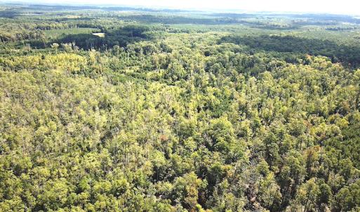 Photo #8 of SOLD property in Off Cattail Road, Mears, VA 112.0 acres