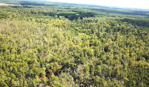 Photo #9 of SOLD property in Off Cattail Road, Mears, VA 112.0 acres