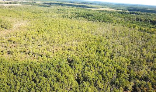 Photo #10 of SOLD property in Off Cattail Road, Mears, VA 112.0 acres