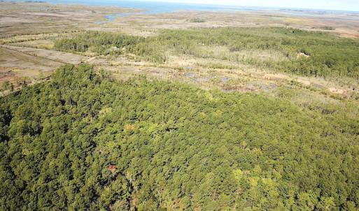 Photo #11 of SOLD property in Off Cattail Road, Mears, VA 112.0 acres