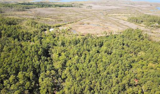 Photo #12 of SOLD property in Off Cattail Road, Mears, VA 112.0 acres