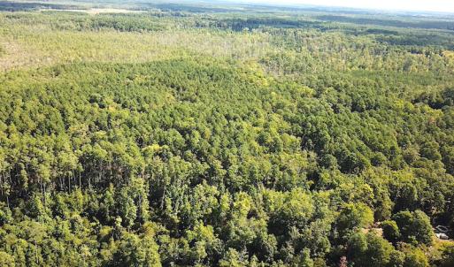 Photo #13 of SOLD property in Off Cattail Road, Mears, VA 112.0 acres