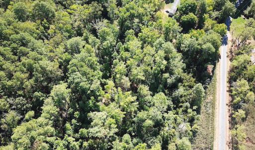 Photo #15 of SOLD property in Off Cattail Road, Mears, VA 112.0 acres