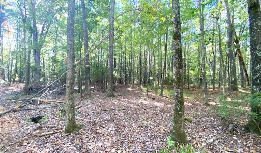 Photo #19 of SOLD property in Off Cattail Road, Mears, VA 112.0 acres
