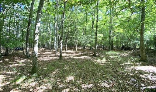 Photo #20 of SOLD property in Off Cattail Road, Mears, VA 112.0 acres