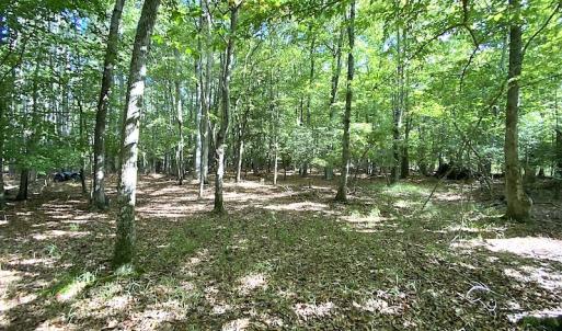 Photo #20 of SOLD property in Off Cattail Road, Mears, VA 112.0 acres